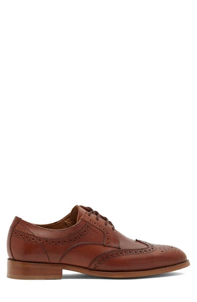 Donald Pliner Damien Wingtip Derby In Cognac
