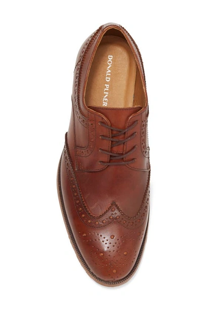 Donald Pliner Damien Wingtip Derby In Cognac