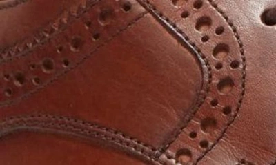 Donald Pliner Damien Wingtip Derby In Cognac