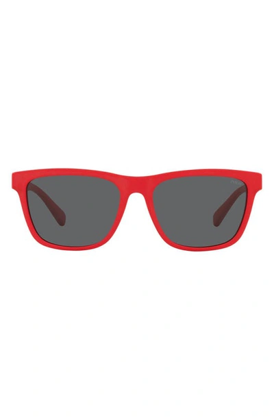 Shop Polo Ralph Lauren 56mm Pillow Sunglasses In Matte Red