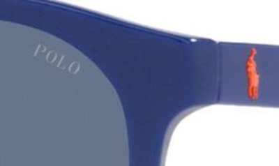 Shop Polo Ralph Lauren 49mm Round Sunglasses In Royal Blue