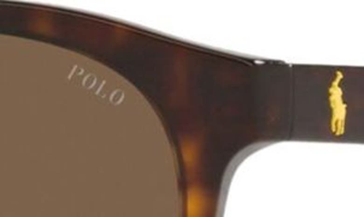Shop Polo Ralph Lauren 49mm Round Sunglasses In Shiny Hava