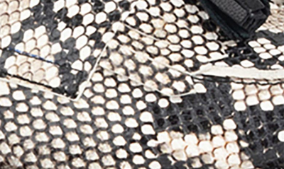 Shop Patricia Green Beckham Tassel Lug Loafer In Black/white Snake