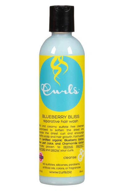 Shop Curls Blueberry Bliss Reparative Hair Wash