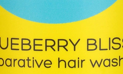 Shop Curls Blueberry Bliss Reparative Hair Wash