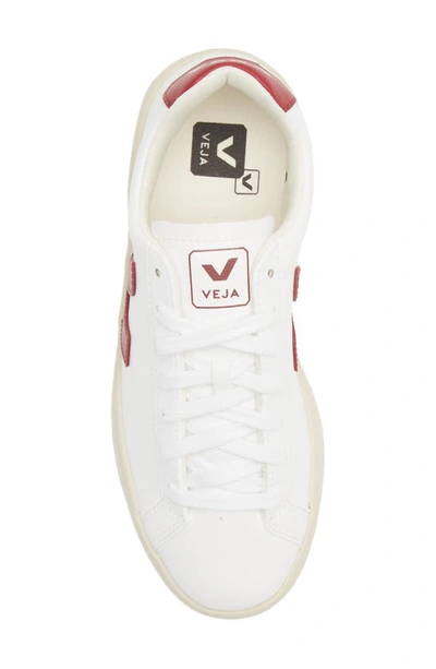 Shop Veja Urca Cwl Sneaker In White Marsala
