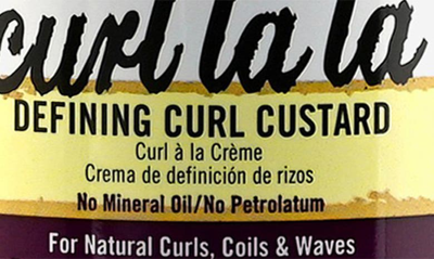 Shop Aunt Jackie's Curl La La Defining Curl Custard