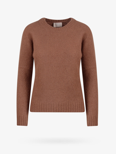 Shop Drumohr Sweater In Brown