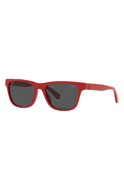 Shop Polo Ralph Lauren Kids' 49mm Cat Eye Sunglasses In Red