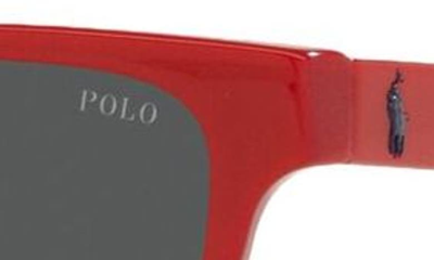 Shop Polo Ralph Lauren Kids' 49mm Cat Eye Sunglasses In Red