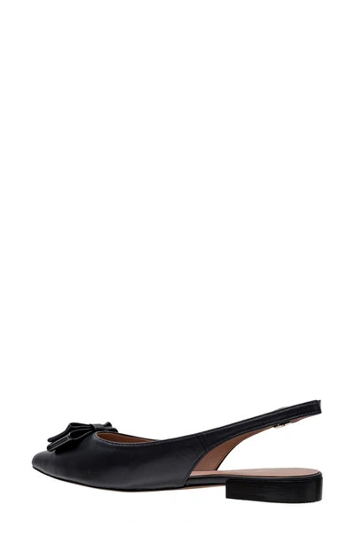 Shop Linea Paolo Deandra Slingback Pointed Toe Pump In Black