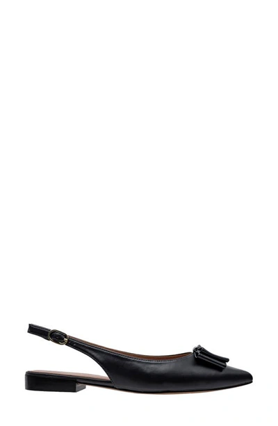 Linea Paolo Deandra Slingback Pointed Toe Pump In Black