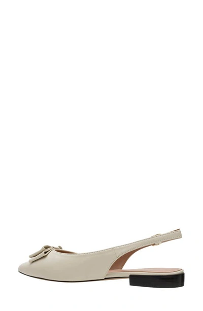 Shop Linea Paolo Deandra Slingback Pointed Toe Pump In Cream
