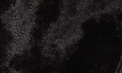 Shop Kg Kurt Geiger Heart Embellished Velvet Scarf In Black