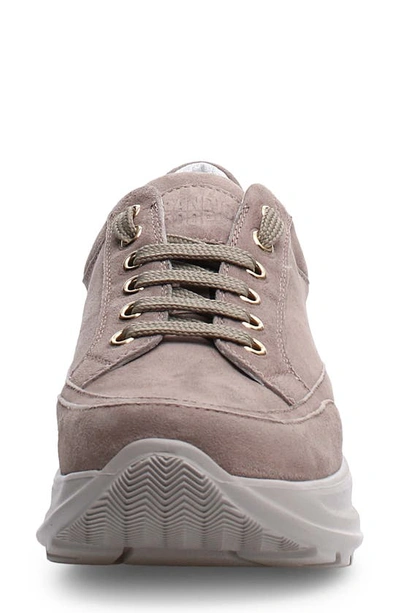 Shop Candice Cooper Spark Two Platform Sneaker In Nut