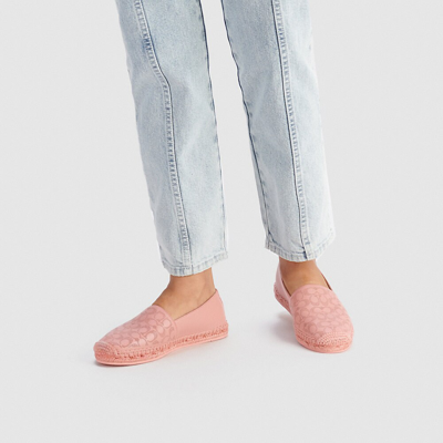 Shop Coach Carley Espadrille In Candy Pink