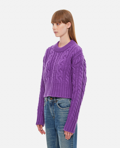 Shop Ami Alexandre Mattiussi Ami Paris Cable Knitted Cropped Sweater In Purple
