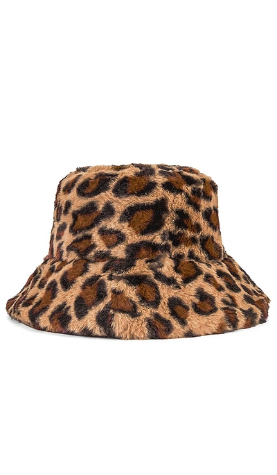 Shop Lovers & Friends Anaya Bucket Hat In Leopard