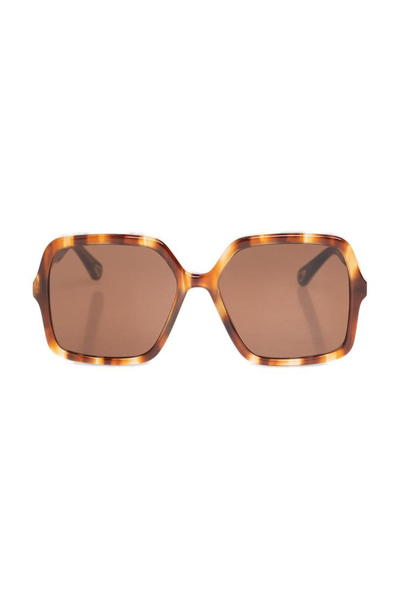 Shop Chloé Eyewear Zelie Sunglasses In Multi