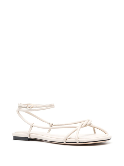 Shop Studio Amelia Ankle-strap Fastening Sandals In Neutrals