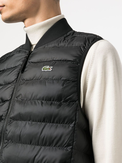 Shop Lacoste Embroidered-motif Padded Gilet In Black