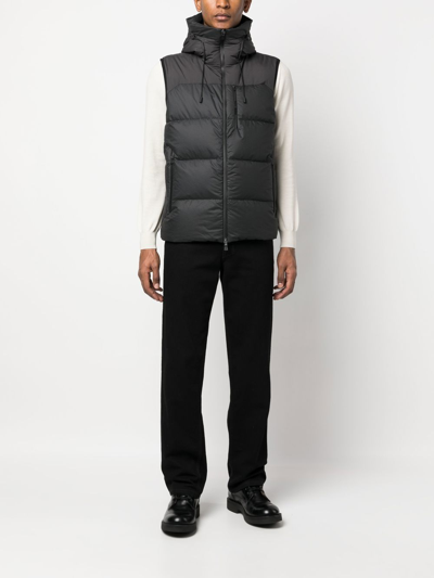 Shop Herno Two-tone Padded Gilet In Black