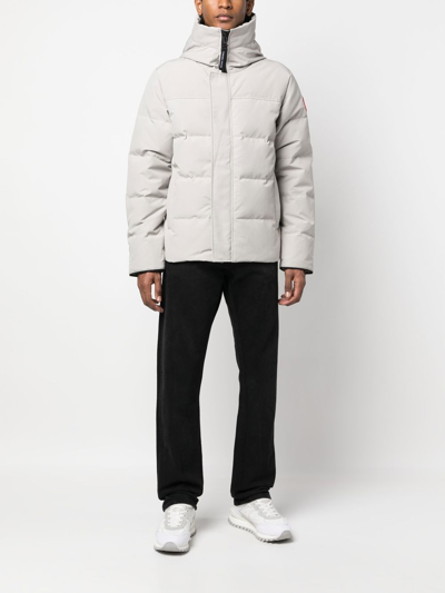 Shop Canada Goose Macmillan Parka Coat In 中性色