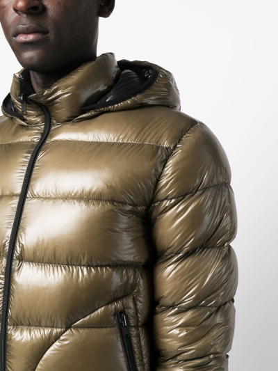 Shop Herno Reversible Padded Down Jacket In Green