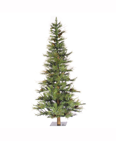 Shop Vickerman 5 Ft Ashland Artificial Christmas Tree Unlit