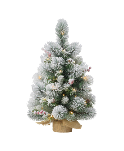 Puleo 2ft Pre-lit Table Top Artificial Christmas Tree In Green