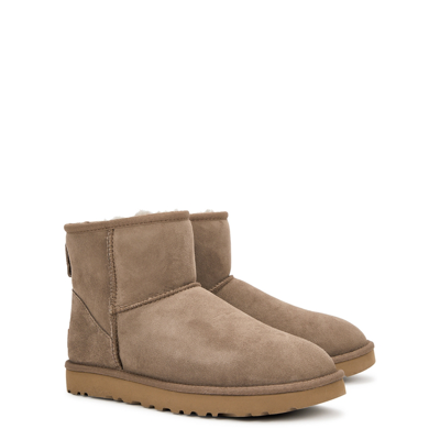 Ugg Classic Mini Ii Taupe Ankle Boot In Brown | ModeSens