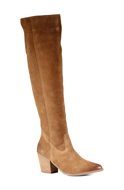 Shop Diba True Cinna Knee High Pointed Toe Boot In Sable
