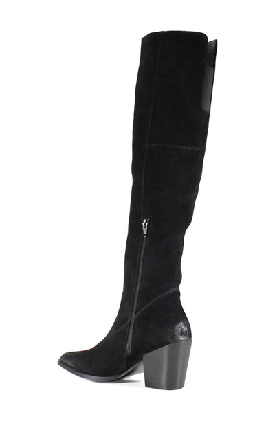 Shop Diba True Cinna Knee High Pointed Toe Boot In Black
