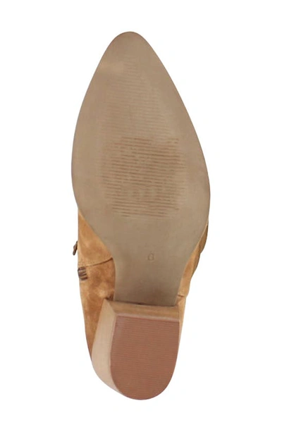 Shop Diba True Cinna Knee High Pointed Toe Boot In Sable