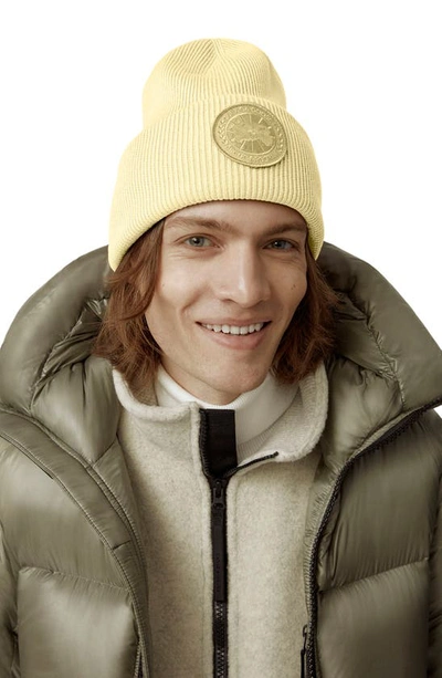 Shop Canada Goose Arctic Merino Wool Toque Beanie In Light Yellow/ Jaune Clair