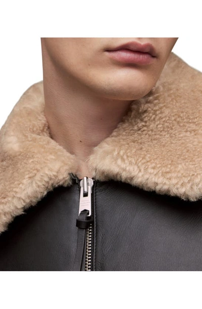Hamel Genuine Shearling Trim Leather Jacket In Black