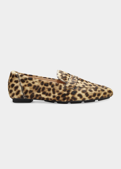 Shop Stuart Weitzman Jet Leopard Fur Penny Loafers In Cream