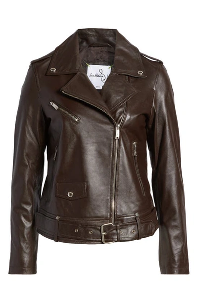 Shop Sam Edelman Belted Moto Jacket In Brown