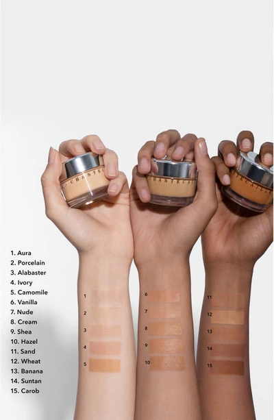 Shop Chantecaille Future Skin Gel Foundation In Alabaster