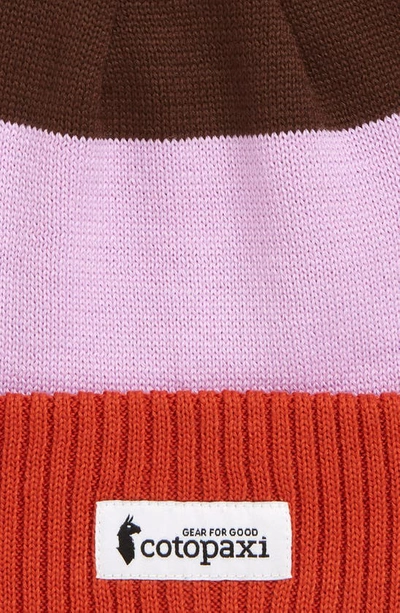 Cotopaxi Alto Colorblock Beanie In Spice Thistle