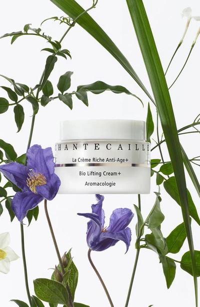 Shop Chantecaille Bio Lifting Cream+, 1.7 oz