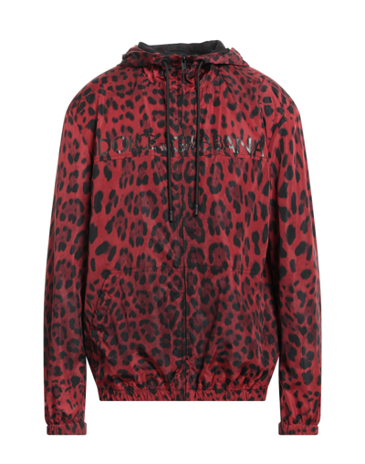 Dolce & Gabbana Men's Leopard Wind-resistant Hooded Jacket In Red