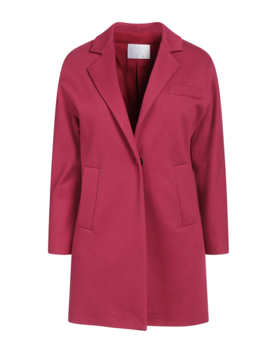 Shop Annie P . Woman Overcoat & Trench Coat Garnet Size 12 Cotton, Elastane In Red