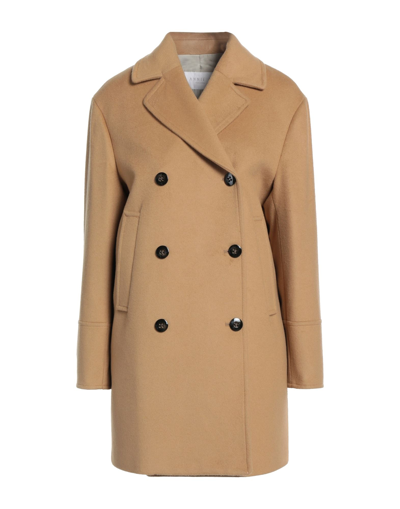 Shop Annie P . Woman Coat Camel Size 8 Virgin Wool, Polyamide, Cashmere In Beige