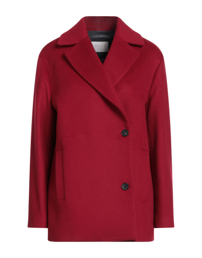 Shop Annie P . Woman Coat Garnet Size 8 Virgin Wool, Polyamide, Cashmere In Red