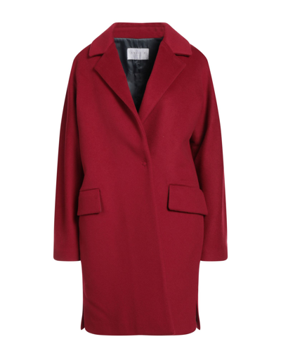 Shop Annie P . Woman Coat Garnet Size 10 Virgin Wool, Polyamide, Cashmere In Red