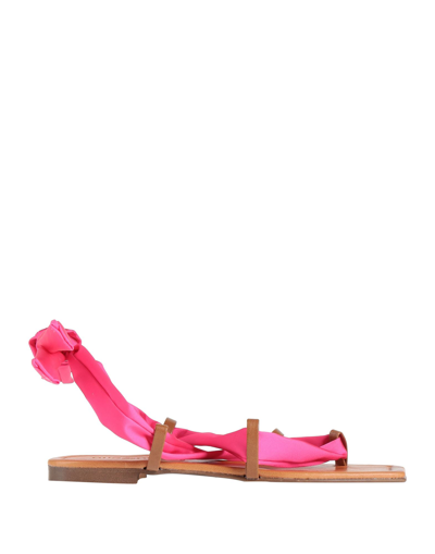 Shop Nila & Nila Woman Thong Sandal Fuchsia Size 8 Textile Fibers In Pink
