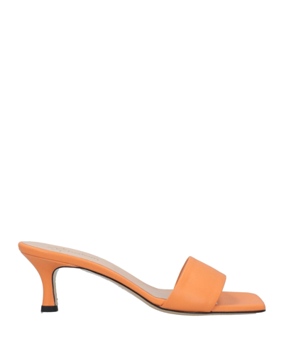 Shop Mychalom Woman Sandals Orange Size 6 Soft Leather