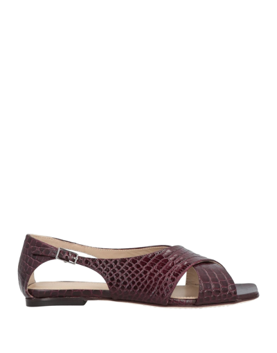 Shop Theory Woman Sandals Burgundy Size 6 Soft Leather In Red