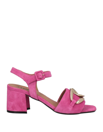 Shop Carmens Woman Sandals Fuchsia Size 6 Soft Leather In Pink